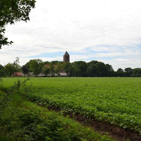Mooi Nieuw Houten Huisje Havelte エクステリア 写真