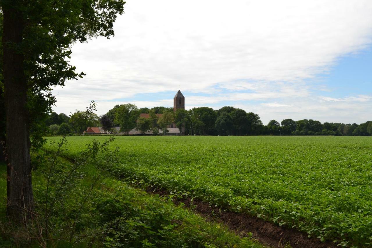 Mooi Nieuw Houten Huisje Havelte エクステリア 写真