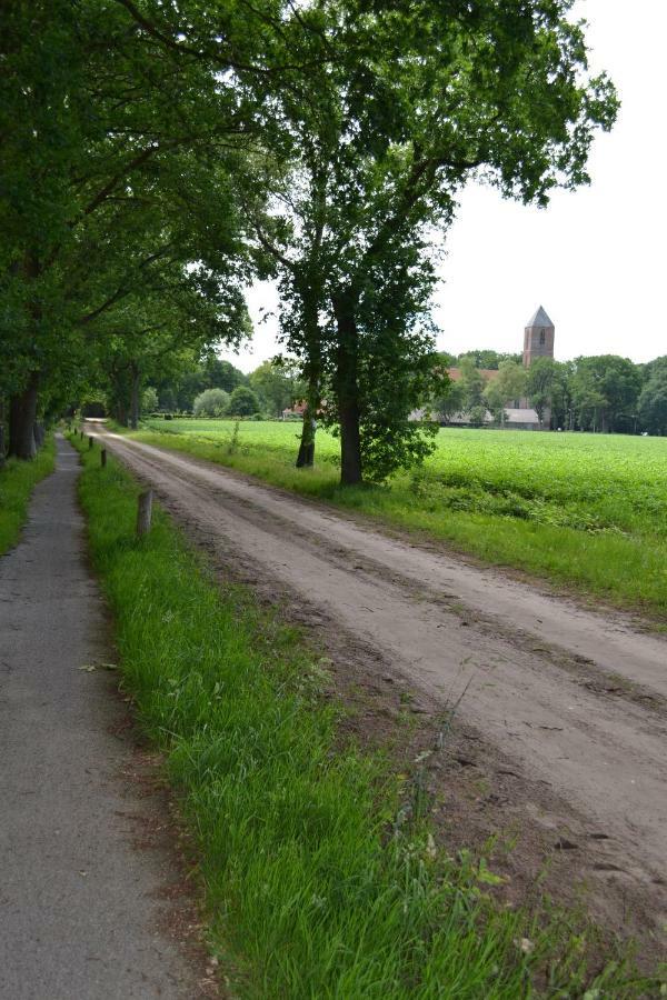 Mooi Nieuw Houten Huisje Havelte エクステリア 写真